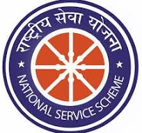 NSS Logo